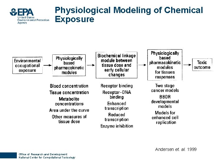 Physiological Modeling of Chemical Exposure Andersen et. al. 1999 Office of Research and Development