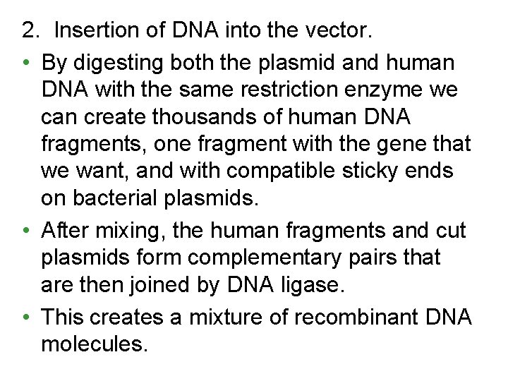 2. Insertion of DNA into the vector. • By digesting both the plasmid and