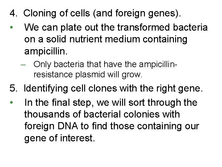 4. Cloning of cells (and foreign genes). • We can plate out the transformed