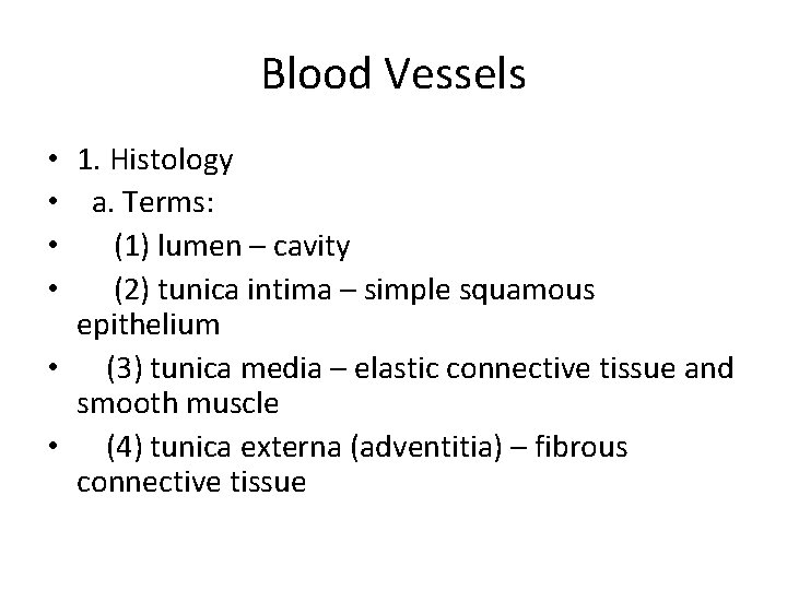 Blood Vessels • 1. Histology • a. Terms: • (1) lumen – cavity •