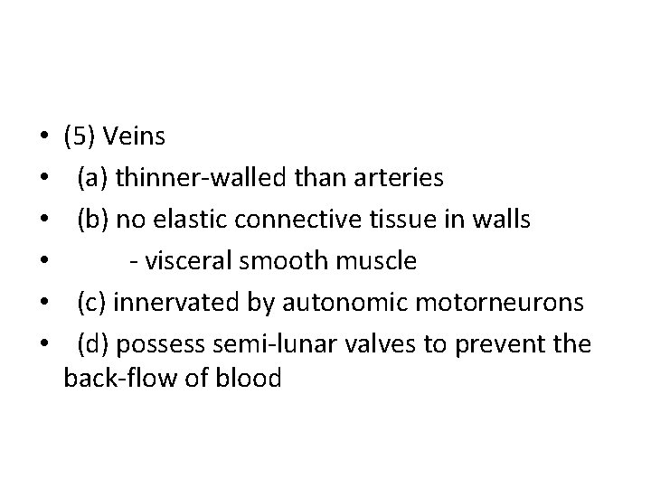  • • • (5) Veins (a) thinner-walled than arteries (b) no elastic connective
