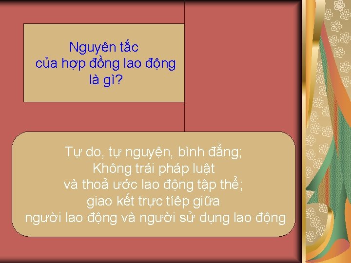 Nguyên tắc của hợp đồng lao động là gì? Tự do, tự nguyện, bình