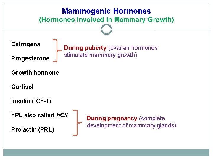 Mammogenic Hormones (Hormones Involved in Mammary Growth) Estrogens Progesterone During puberty (ovarian hormones stimulate