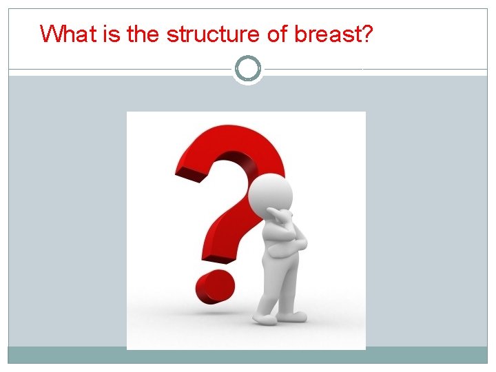 What is the structure of breast? 