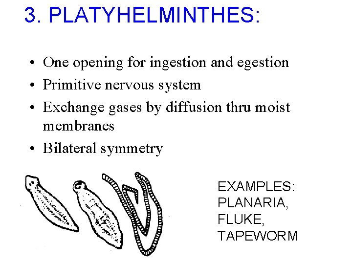 3. PLATYHELMINTHES: • One opening for ingestion and egestion • Primitive nervous system •