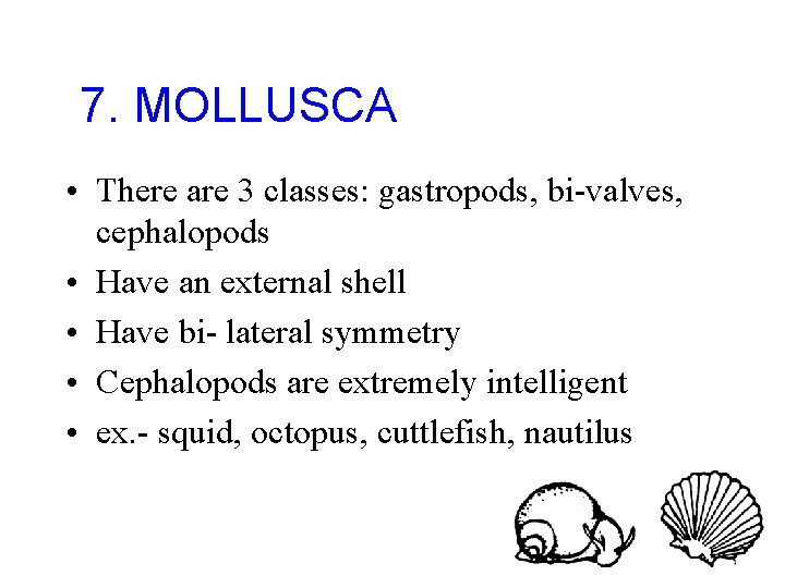 7. MOLLUSCA • There are 3 classes: gastropods, bi-valves, cephalopods • Have an external