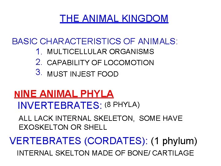 THE ANIMAL KINGDOM BASIC CHARACTERISTICS OF ANIMALS: 1. MULTICELLULAR ORGANISMS 2. CAPABILITY OF LOCOMOTION