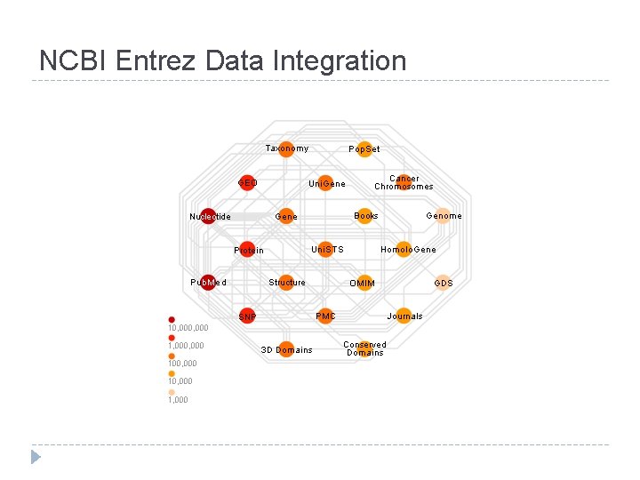 NCBI Entrez Data Integration 