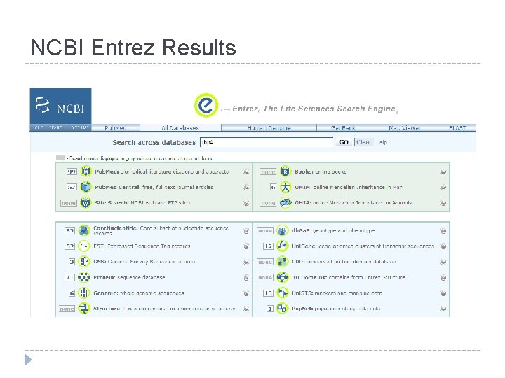 NCBI Entrez Results 