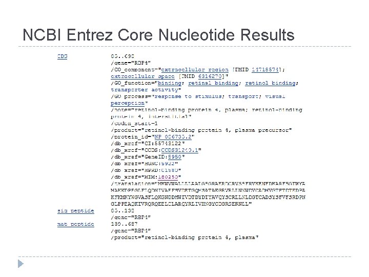 NCBI Entrez Core Nucleotide Results 