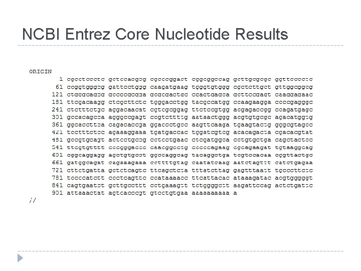 NCBI Entrez Core Nucleotide Results 