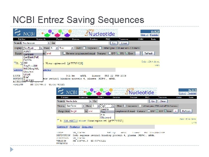 NCBI Entrez Saving Sequences 