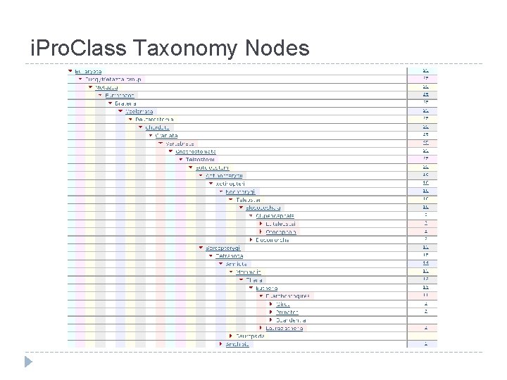 i. Pro. Class Taxonomy Nodes 