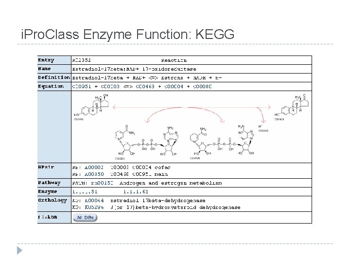 i. Pro. Class Enzyme Function: KEGG 
