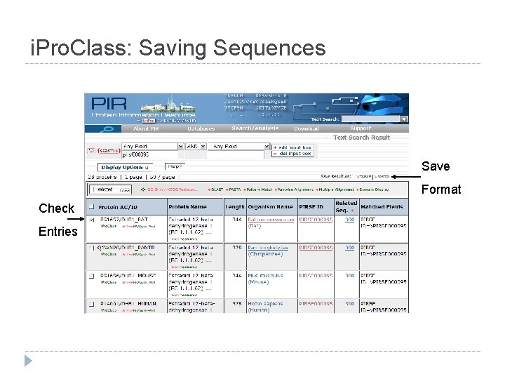 i. Pro. Class: Saving Sequences Save Format Check Entries 