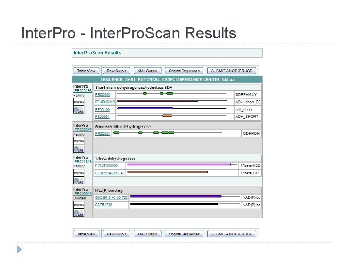 Inter. Pro - Inter. Pro. Scan Results 