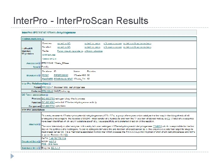 Inter. Pro - Inter. Pro. Scan Results 