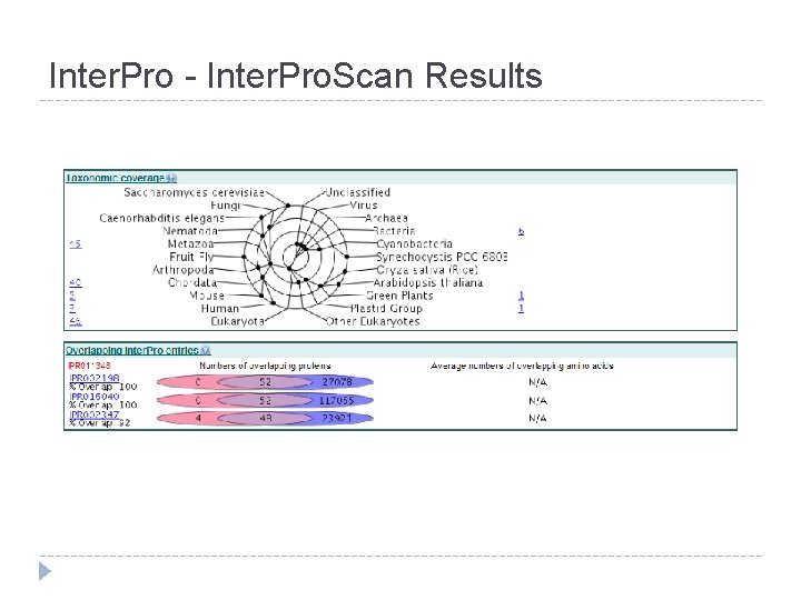 Inter. Pro - Inter. Pro. Scan Results 