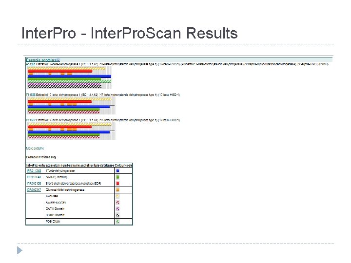 Inter. Pro - Inter. Pro. Scan Results 