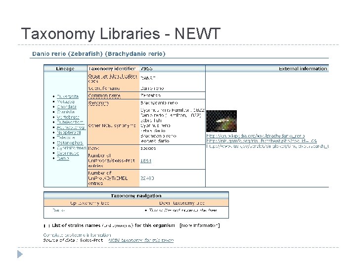 Taxonomy Libraries - NEWT 