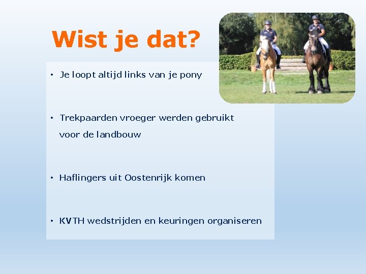 Wist je dat? • Je loopt altijd links van je pony • Trekpaarden vroeger