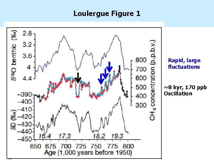 Loulergue Figure 1 Rapid, large fluctuations ~8 kyr, 170 ppb Oscillation 