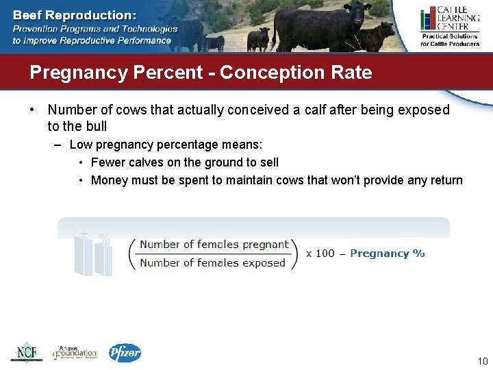 Pregnancy Percent - Conception Rate • Number of cows that actually conceived a calf