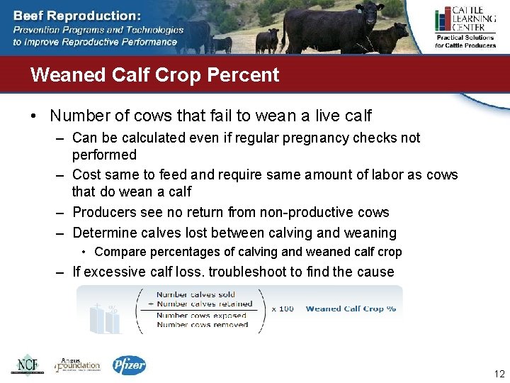 Weaned Calf Crop Percent • Number of cows that fail to wean a live