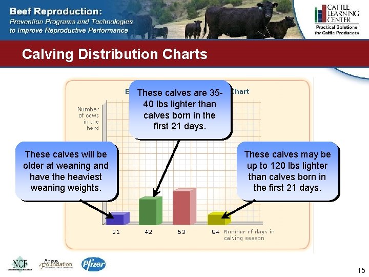 Calving Distribution Charts These calves are 3540 lbs lighter than calves born in the