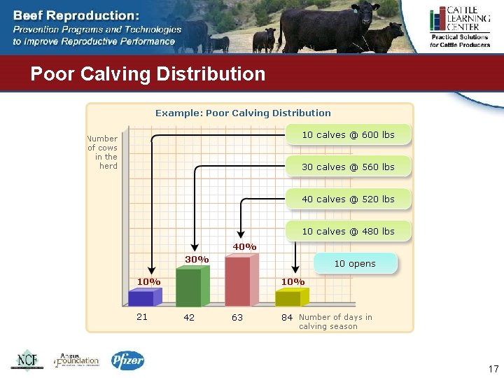 Poor Calving Distribution 17 