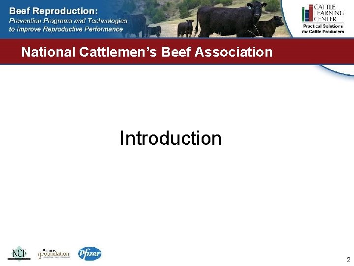National Cattlemen’s Beef Association Introduction 2 
