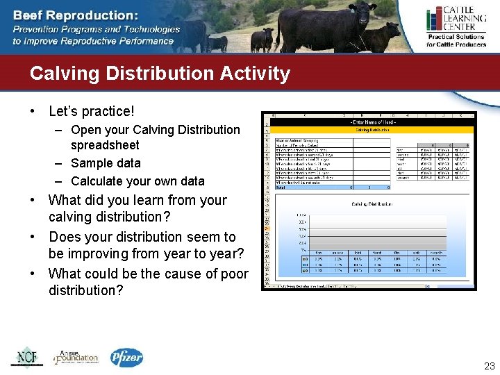 Calving Distribution Activity • Let’s practice! – Open your Calving Distribution spreadsheet – Sample