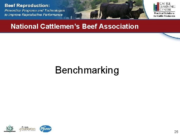 National Cattlemen’s Beef Association Benchmarking 25 