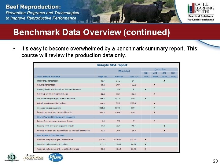 Benchmark Data Overview (continued) • It’s easy to become overwhelmed by a benchmark summary