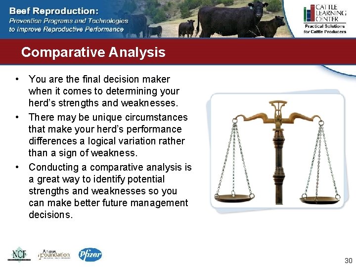 Comparative Analysis • You are the final decision maker when it comes to determining