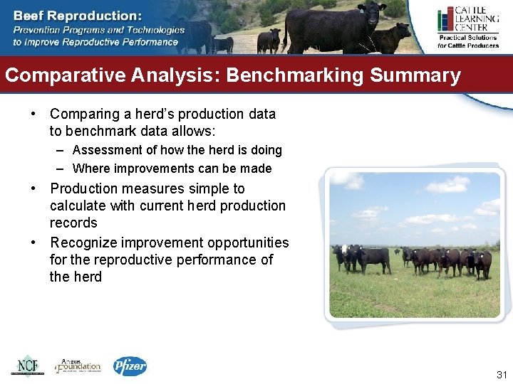 Comparative Analysis: Benchmarking Summary • Comparing a herd’s production data to benchmark data allows: