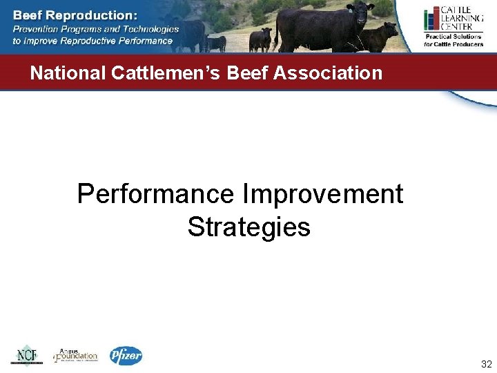 National Cattlemen’s Beef Association Performance Improvement Strategies 32 