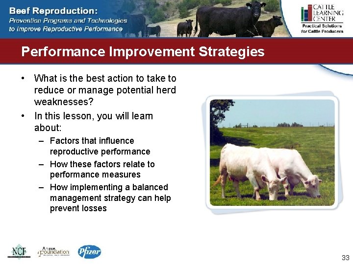 Performance Improvement Strategies • What is the best action to take to reduce or