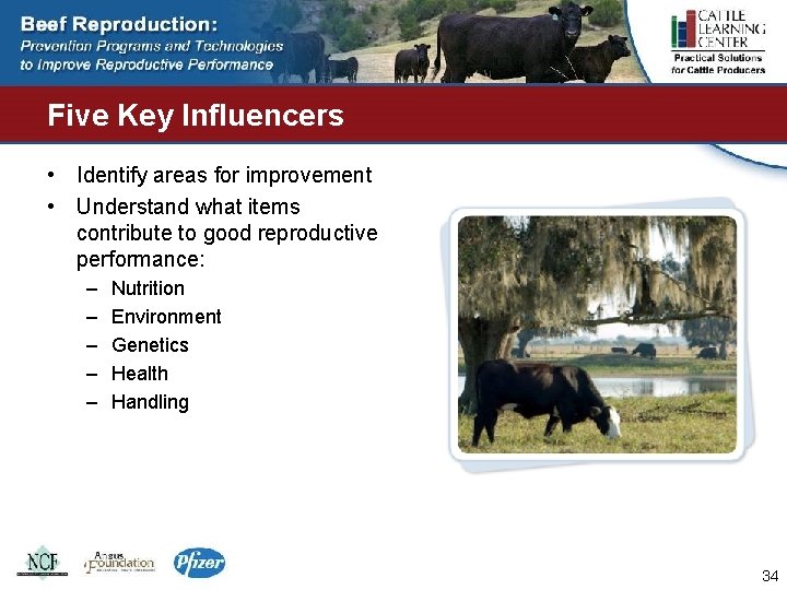 Five Key Influencers • Identify areas for improvement • Understand what items contribute to