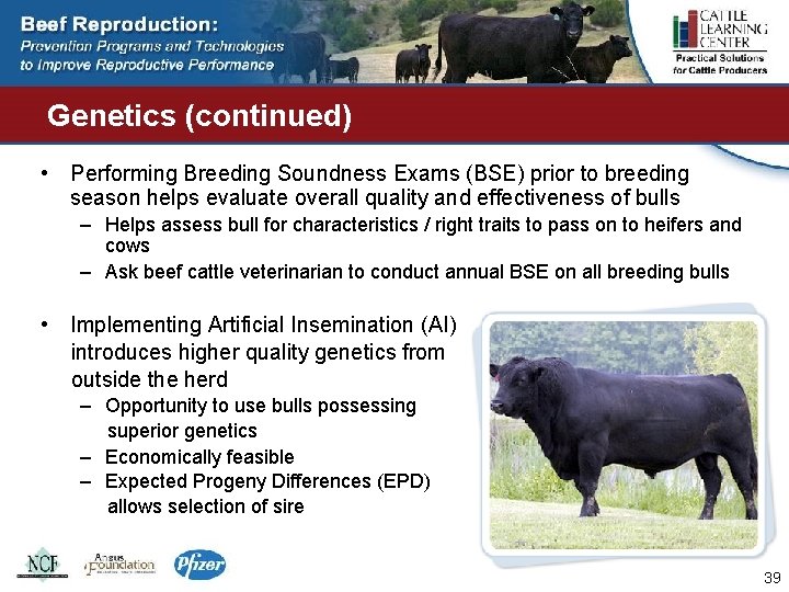 Genetics (continued) • Performing Breeding Soundness Exams (BSE) prior to breeding season helps evaluate