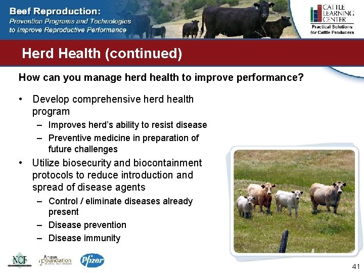 Herd Health (continued) How can you manage herd health to improve performance? • Develop