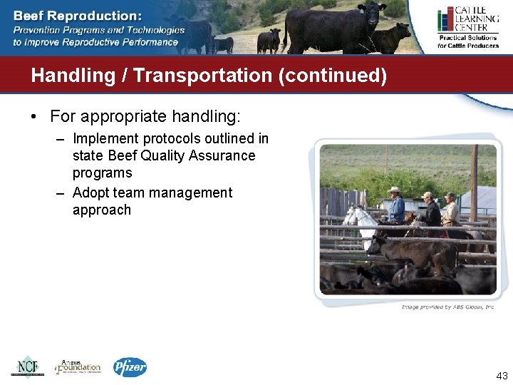 Handling / Transportation (continued) • For appropriate handling: – Implement protocols outlined in state