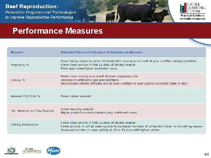 Performance Measures 44 