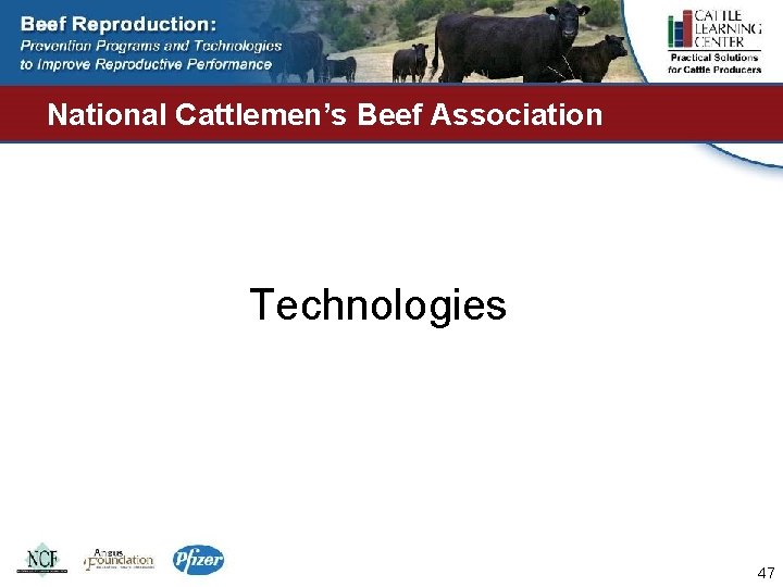 National Cattlemen’s Beef Association Technologies 47 
