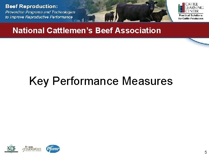 National Cattlemen’s Beef Association Key Performance Measures 5 