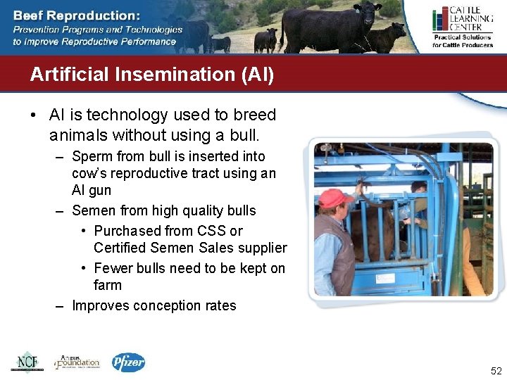 Artificial Insemination (AI) • AI is technology used to breed animals without using a