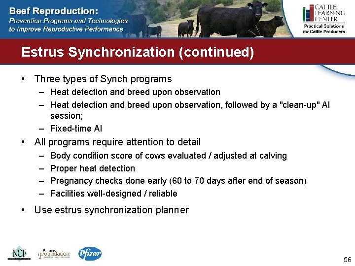 Estrus Synchronization (continued) • Three types of Synch programs – Heat detection and breed