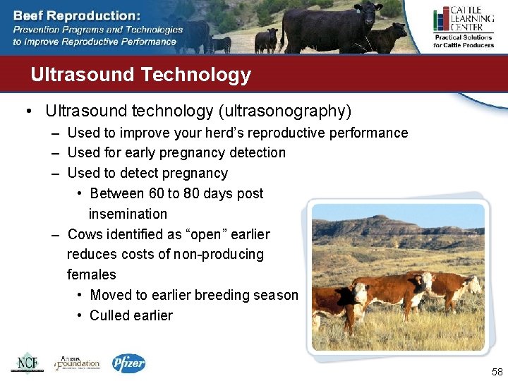 Ultrasound Technology • Ultrasound technology (ultrasonography) – Used to improve your herd’s reproductive performance