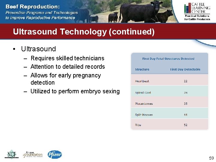 Ultrasound Technology (continued) • Ultrasound – Requires skilled technicians – Attention to detailed records