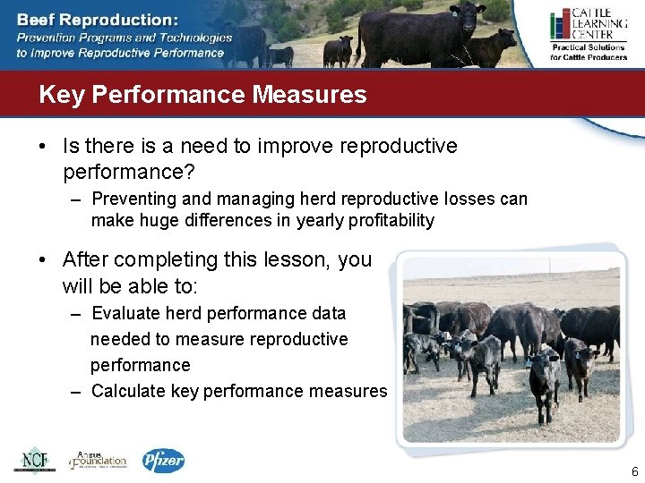 Key Performance Measures • Is there is a need to improve reproductive performance? –